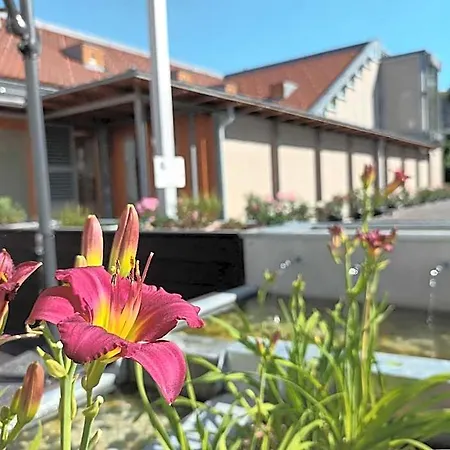 Gizella And Restaurant Hotel Veszprém