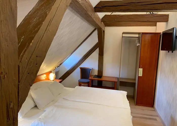 Gizella And Restaurant 3* 베스프렘
